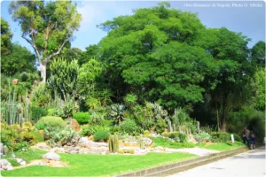 Real Orto Botanico di Napoli